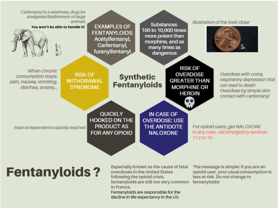 Fentanyloids scheme